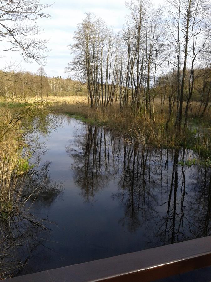 Cztery Pory Roku Pensionat Białowieża Eksteriør billede