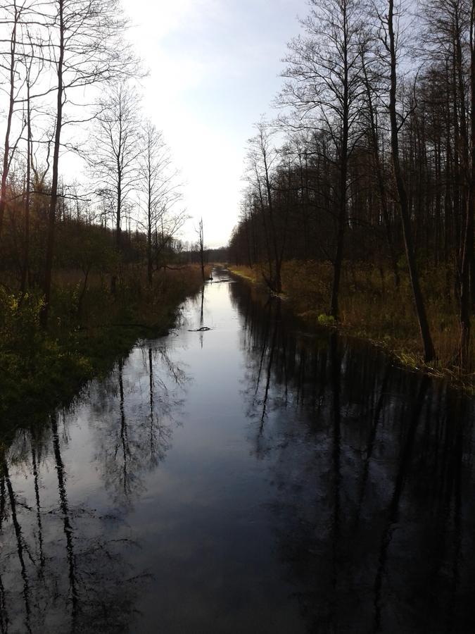 Cztery Pory Roku Pensionat Białowieża Eksteriør billede